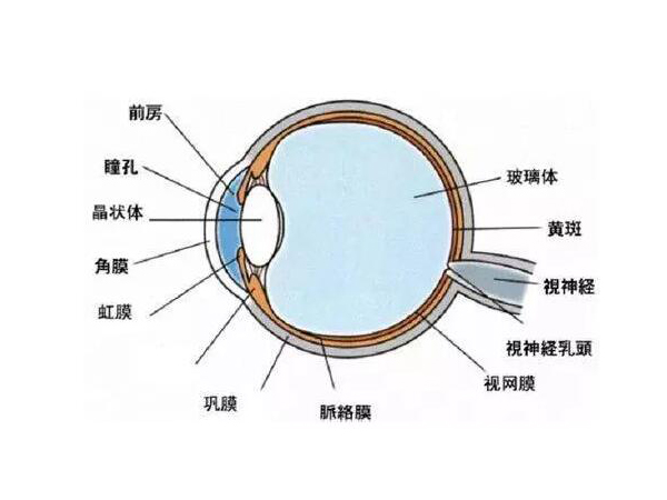 視網(wǎng)膜脫離的癥狀及方法